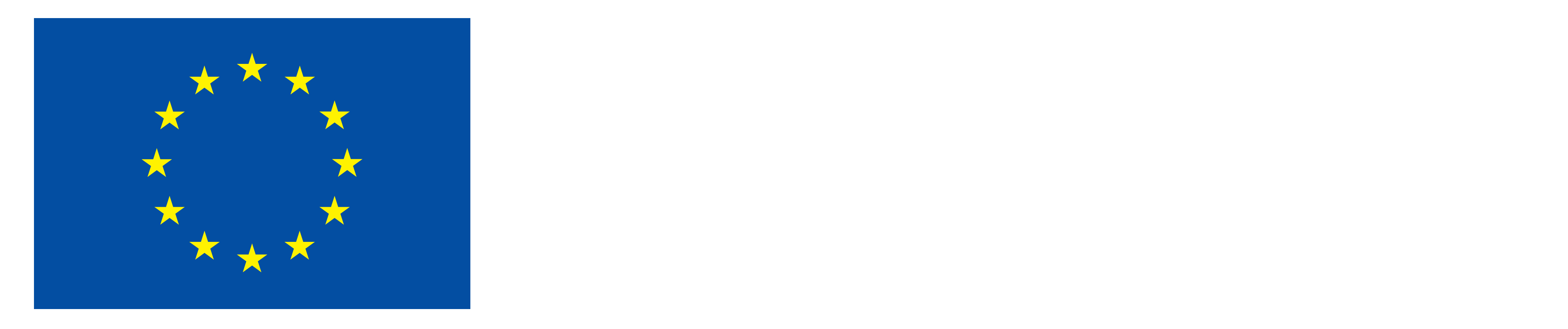 Co-funded by the European Union